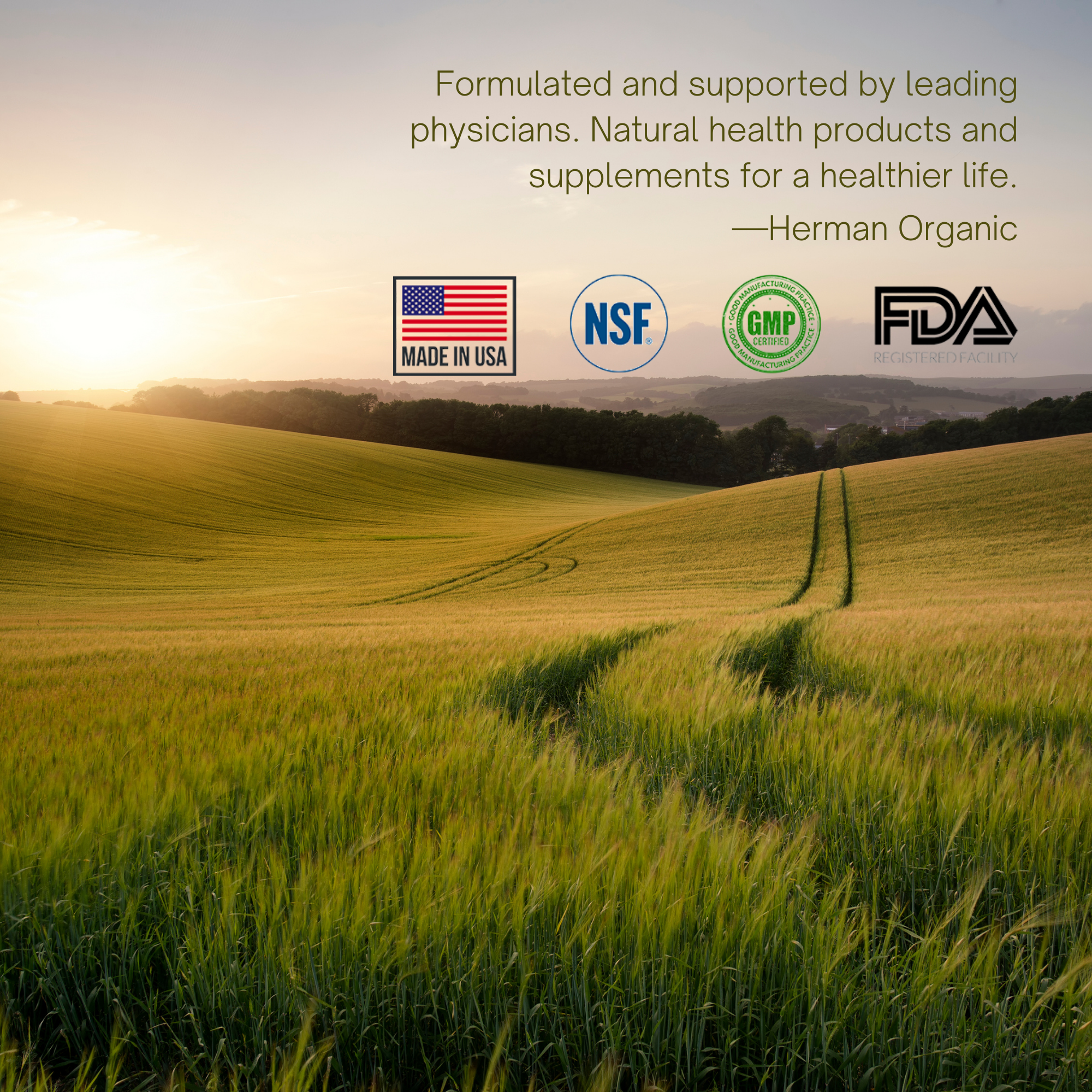 Rolling green fields at sunset representing Herman Organic's natural wellness philosophy
